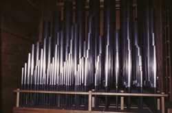 grand orgue de la cathedrale